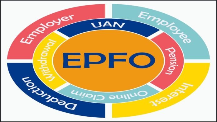 EPFO Interest Rates: Fluctuating Returns Over the Last 8 Years - Understanding the Varied Trends