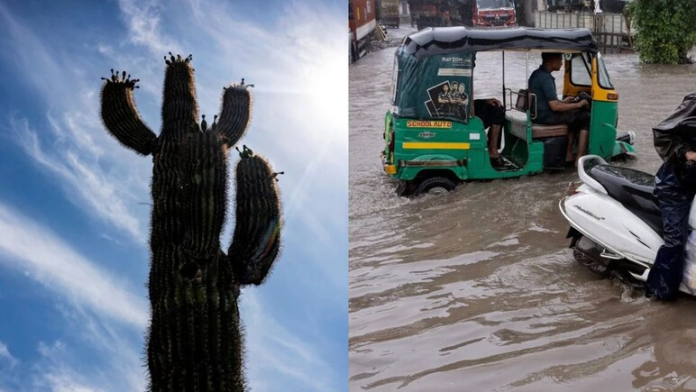 Extreme Weather: Rajasthan Rain, Kashmir Heatwave – Nature's Fury Unleashed!