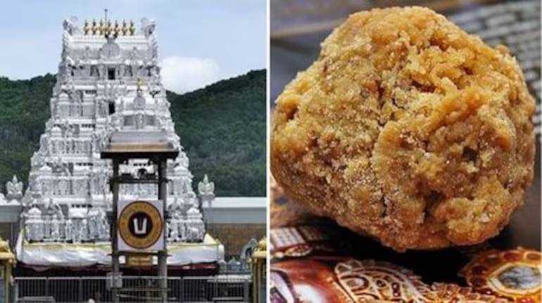 Chandrababu Naidu's Shocking Allegation: Jagan Govt Mixed Animal Fat in Tirupati Laddus