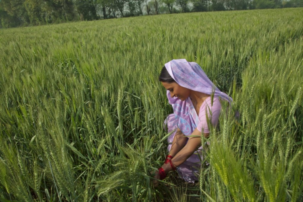 Female Labour Force Participation: How Rural Women are Driving a Phenomenal Change