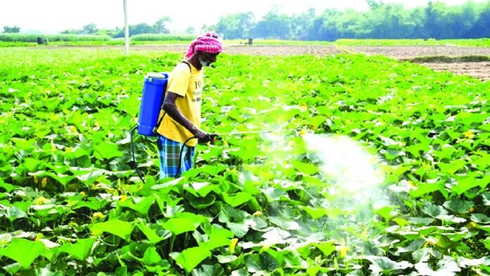 US trade deal agriculture