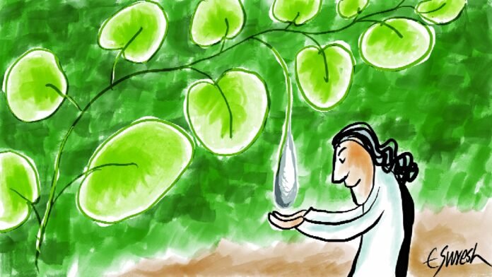 national resource management