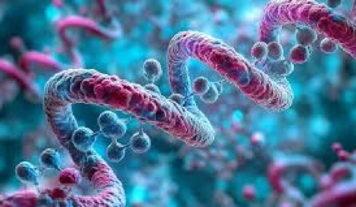 Releasing Hormone Analog Science