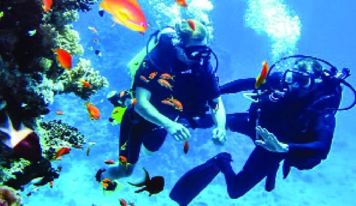 scuba tourism