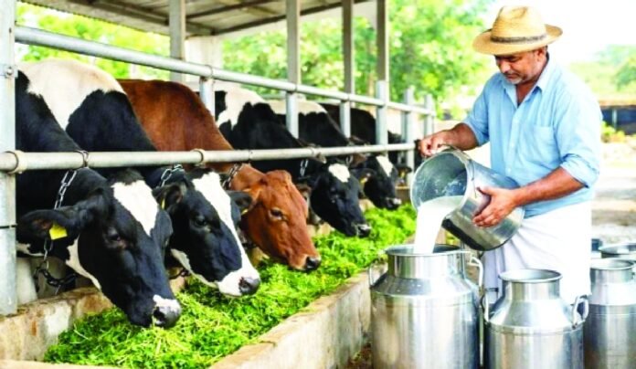 up-govt-prepares-dairy-master-plan
