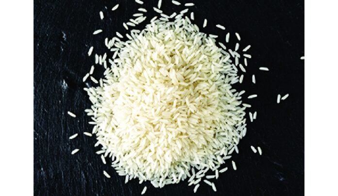 west-bengal-rice-industry-seeks-infra-push-faster-clearances