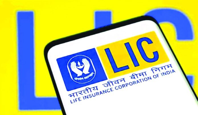LIC long-term instruments