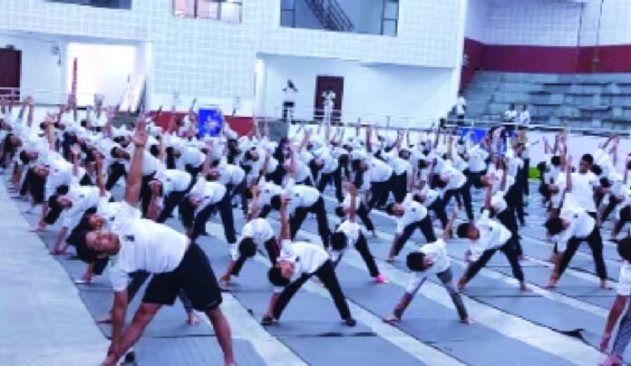 nagaland