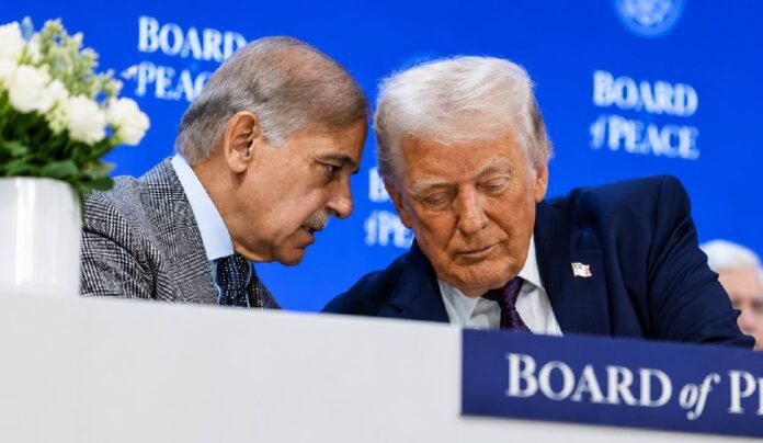 PM Shehbaz Sharif