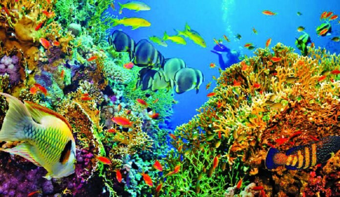 blue planet