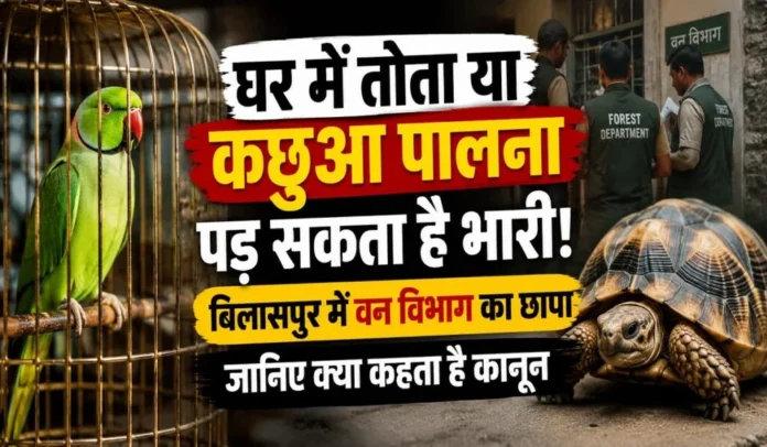 Bilaspur