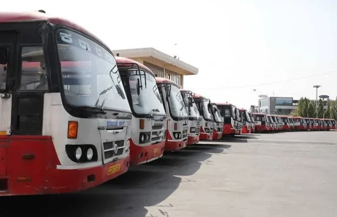 Bus