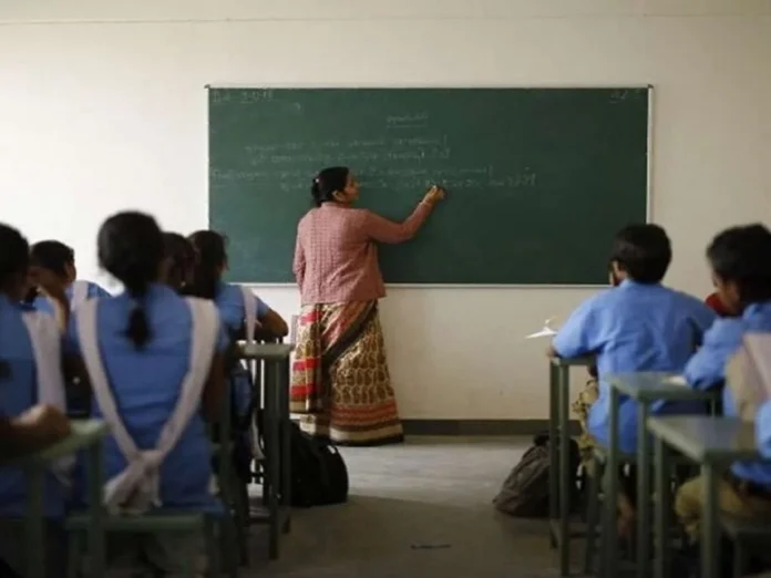 teachers
