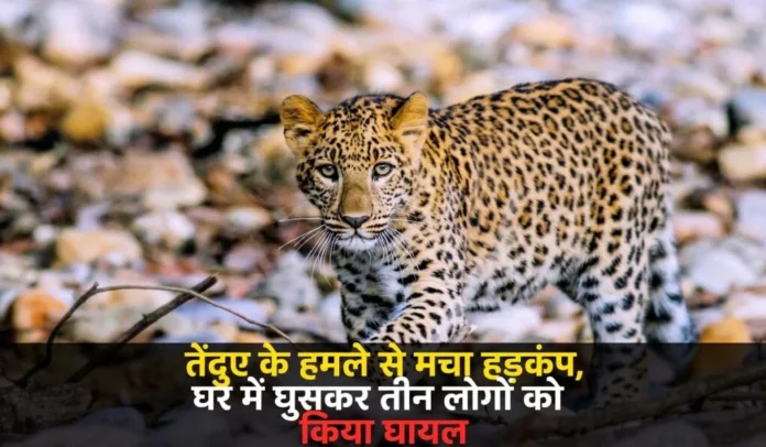 Chhattisgarh